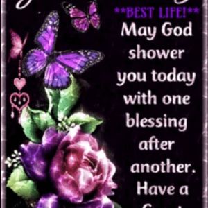 Meet your Posher, Berdie